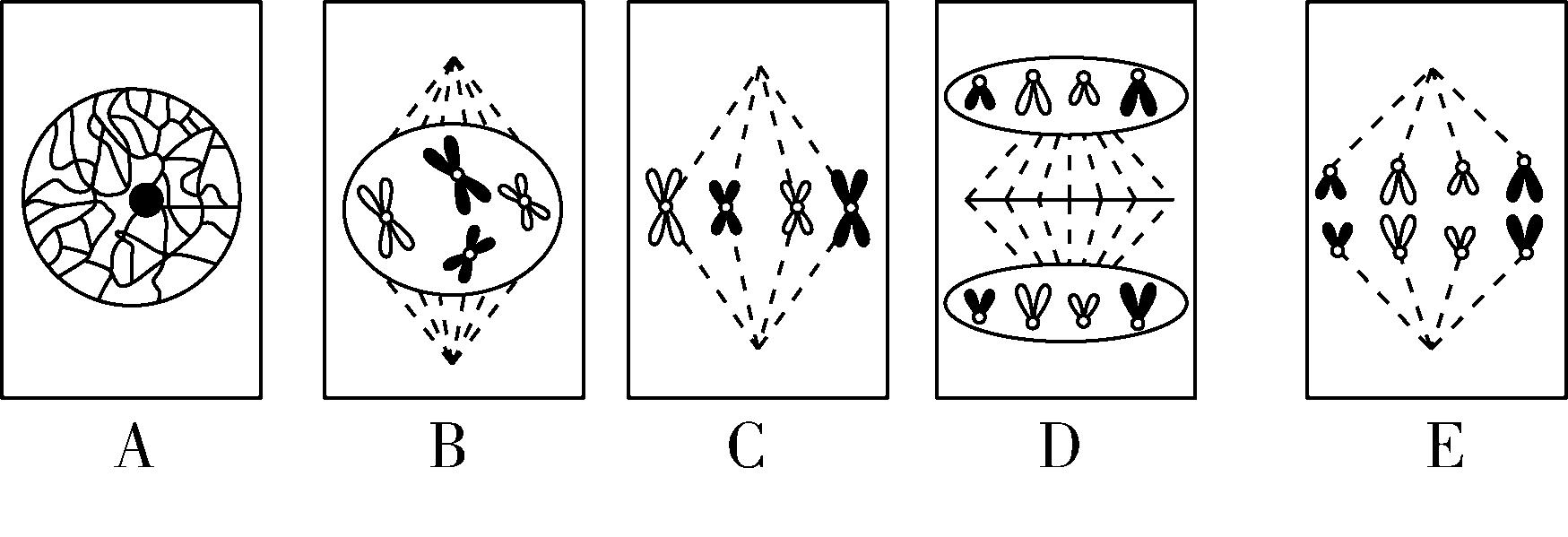 试题资源网 https://stzy.com