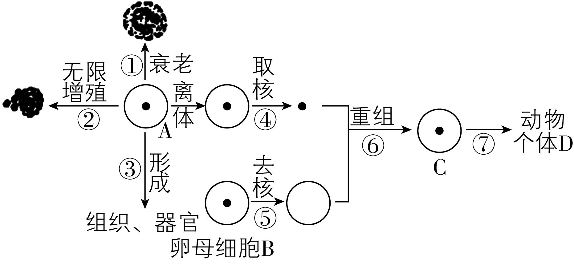 试题资源网 https://stzy.com