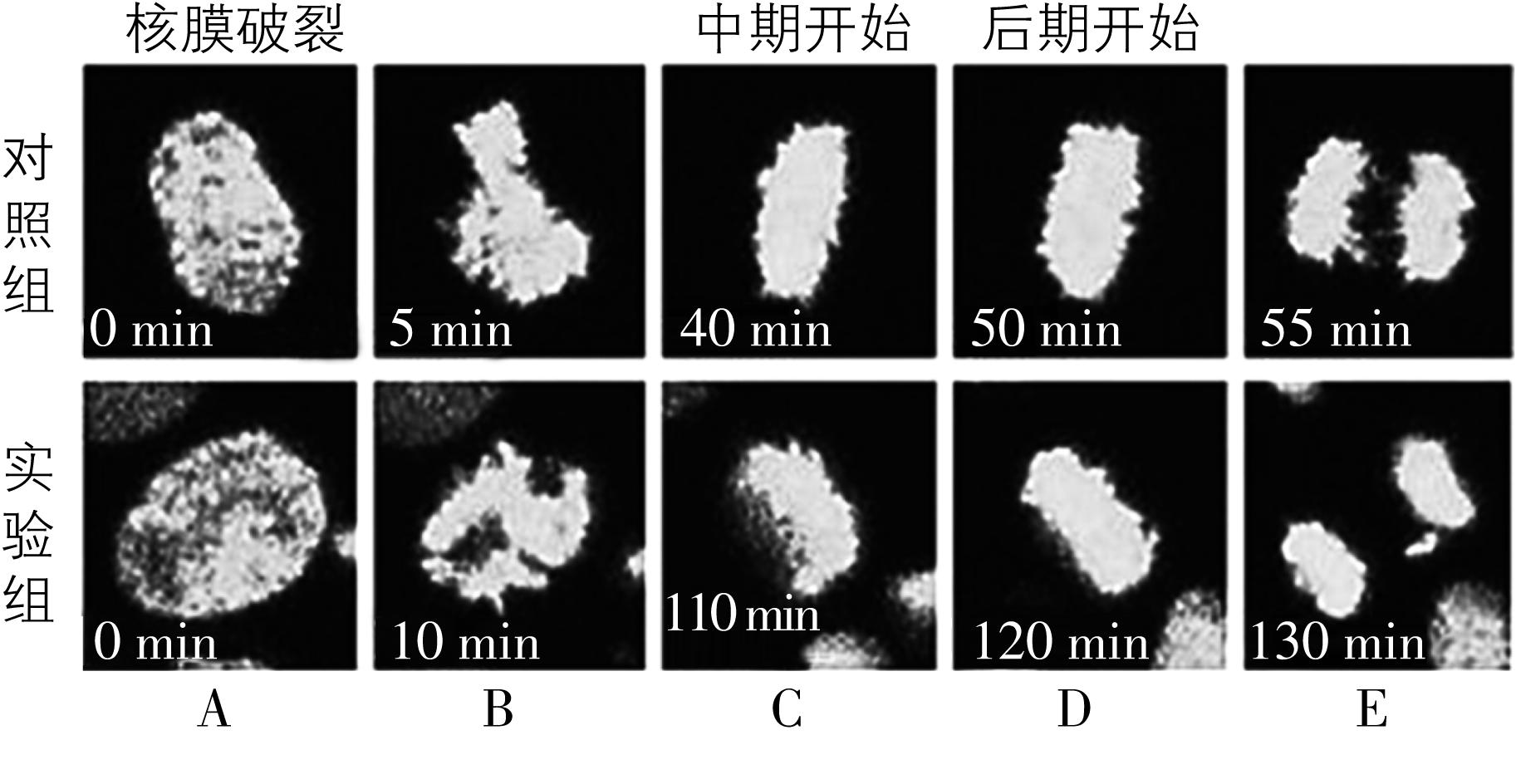 试题资源网 https://stzy.com