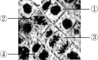 试题资源网 https://stzy.com