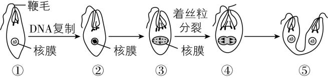试题资源网 https://stzy.com