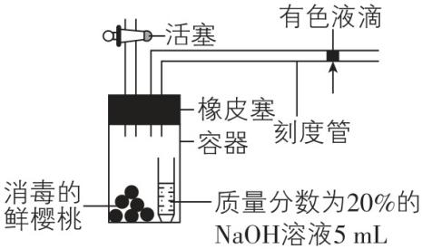 试题资源网 https://stzy.com
