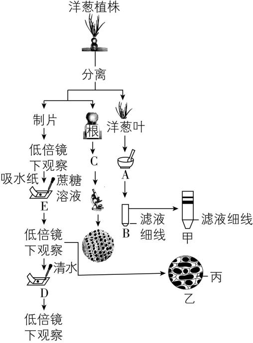 试题资源网 https://stzy.com