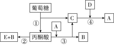 试题资源网 https://stzy.com