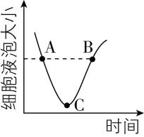 试题资源网 https://stzy.com