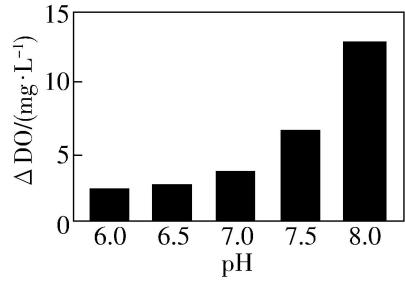 试题资源网 https://stzy.com