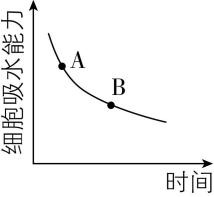 试题资源网 https://stzy.com