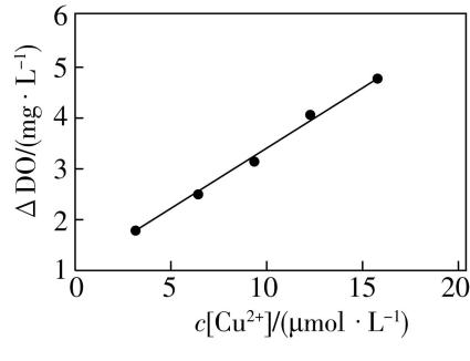 试题资源网 https://stzy.com