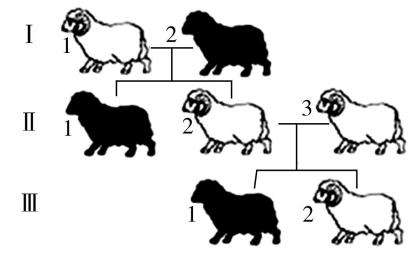 试题资源网 https://stzy.com