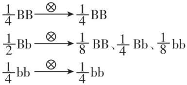 试题资源网 https://stzy.com