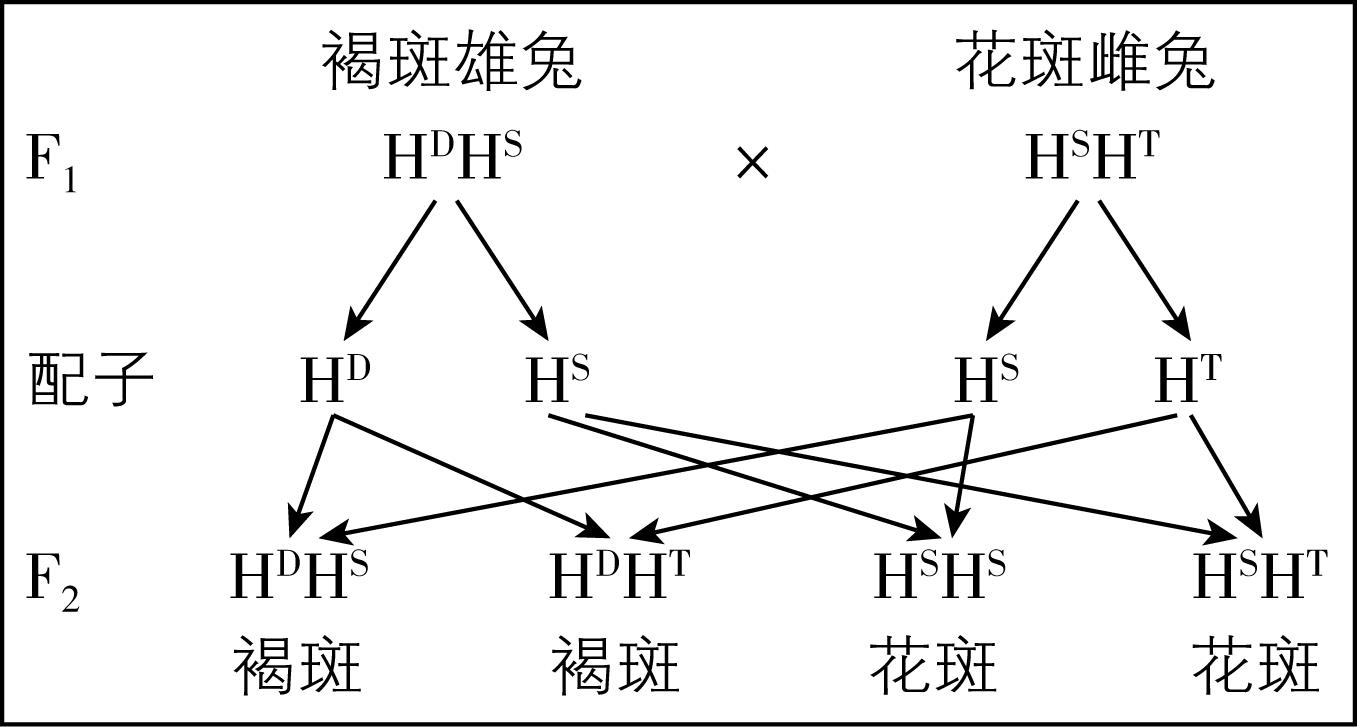 试题资源网 https://stzy.com
