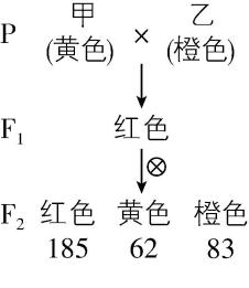 试题资源网 https://stzy.com