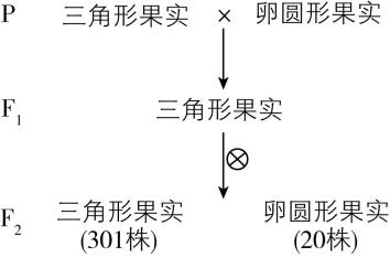 试题资源网 https://stzy.com