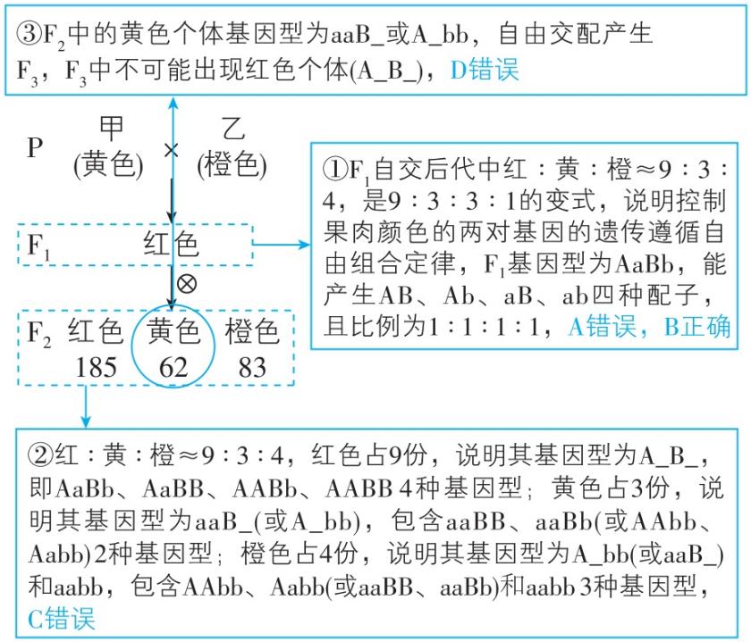 试题资源网 https://stzy.com