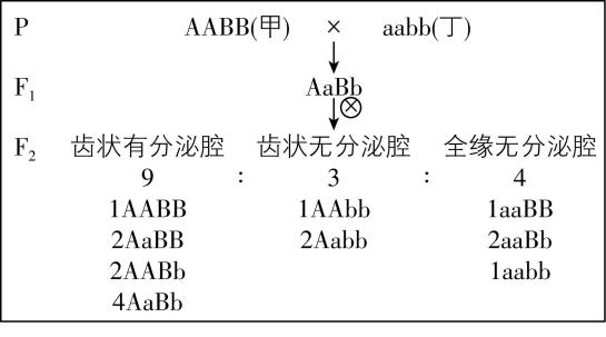 试题资源网 https://stzy.com