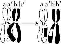试题资源网 https://stzy.com