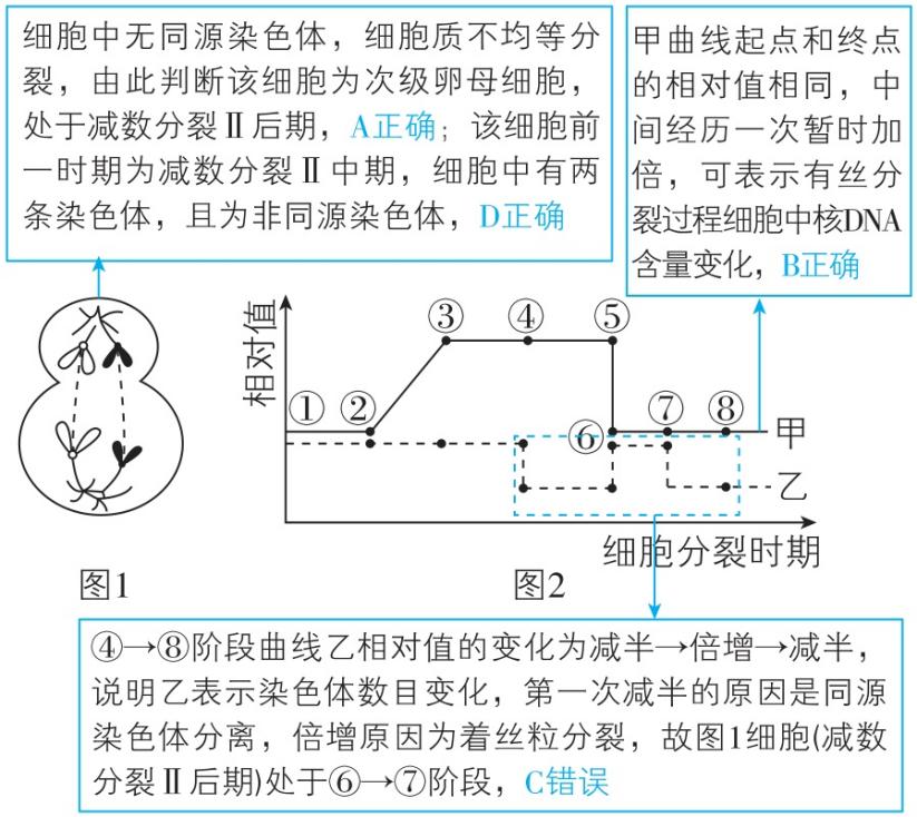 试题资源网 https://stzy.com