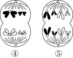 试题资源网 https://stzy.com