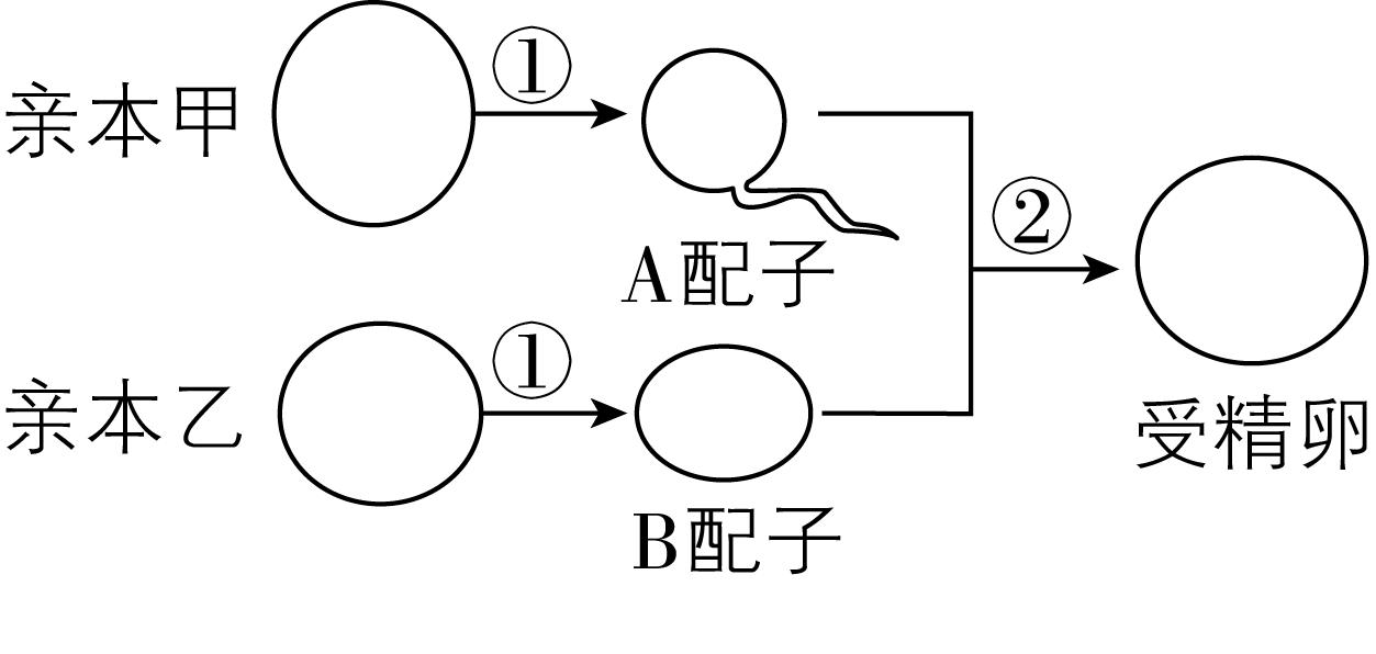试题资源网 https://stzy.com