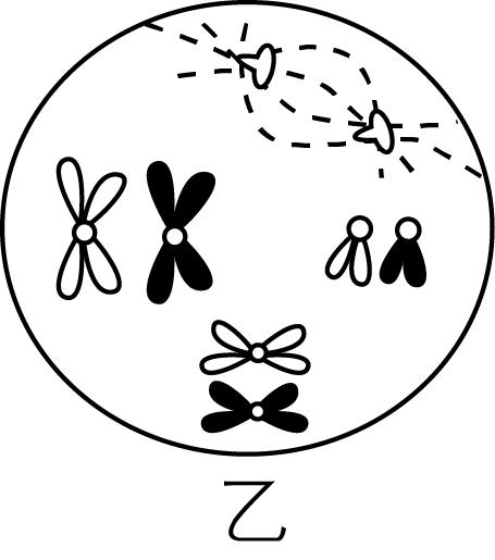 试题资源网 https://stzy.com