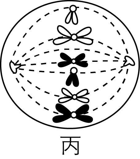 试题资源网 https://stzy.com