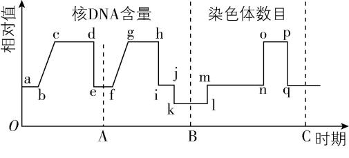试题资源网 https://stzy.com