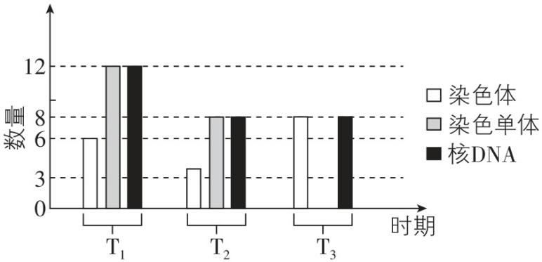 试题资源网 https://stzy.com