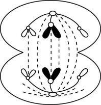 试题资源网 https://stzy.com