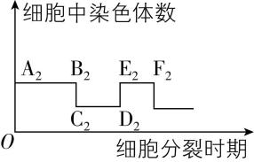 试题资源网 https://stzy.com