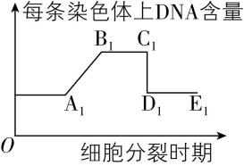 试题资源网 https://stzy.com
