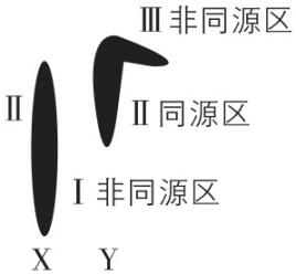 试题资源网 https://stzy.com