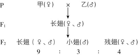 试题资源网 https://stzy.com
