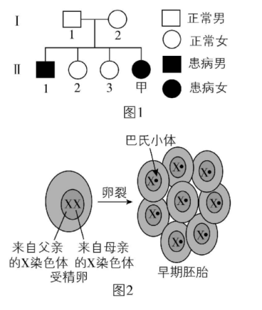 试题资源网 https://stzy.com
