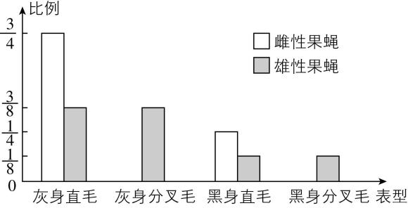 试题资源网 https://stzy.com