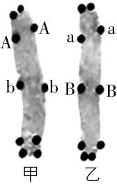 试题资源网 https://stzy.com