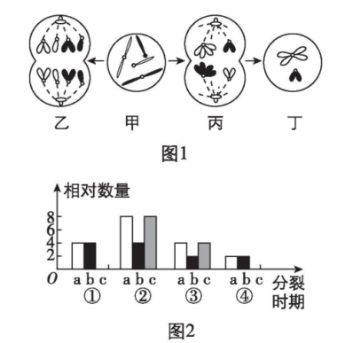 试题资源网 https://stzy.com
