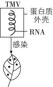 试题资源网 https://stzy.com