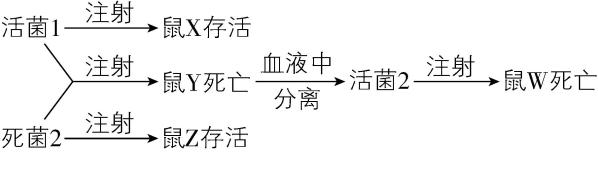 试题资源网 https://stzy.com