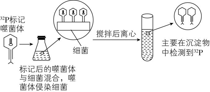 试题资源网 https://stzy.com