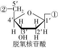 试题资源网 https://stzy.com