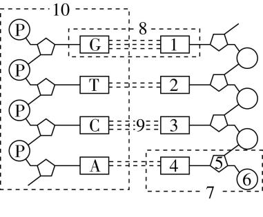 试题资源网 https://stzy.com