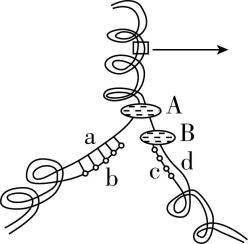 试题资源网 https://stzy.com
