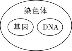 试题资源网 https://stzy.com