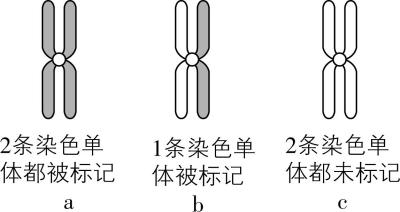 试题资源网 https://stzy.com