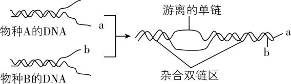 试题资源网 https://stzy.com