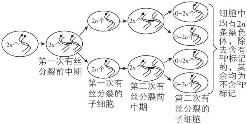 试题资源网 https://stzy.com