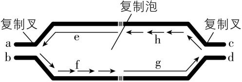 试题资源网 https://stzy.com