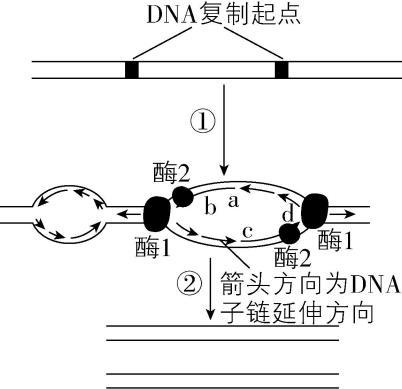 试题资源网 https://stzy.com