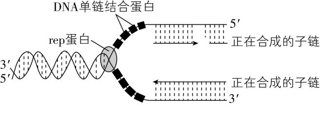 试题资源网 https://stzy.com