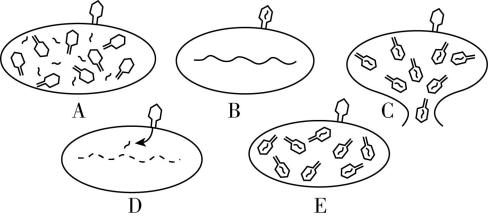 试题资源网 https://stzy.com